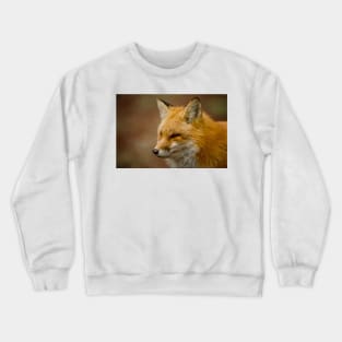 Red Fox Crewneck Sweatshirt